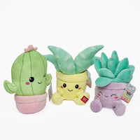 Peluche super morbido a forma di piantina grassa Kawaii. La serie è composta da: Pianta Aloe, Pianta Echevera, Cactus
