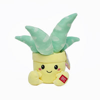 Peluche super morbido a forma di piantina grassa Kawaii. La serie è composta da: Pianta Aloe, Pianta Echevera, Cactus