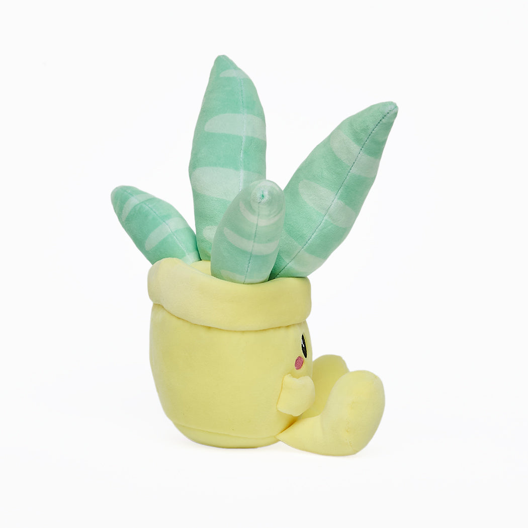 Peluche super morbido a forma di piantina grassa Kawaii. La serie è composta da: Pianta Aloe, Pianta Echevera, Cactus