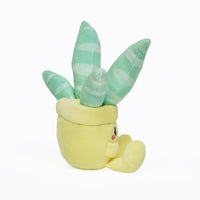 Peluche super morbido a forma di piantina grassa Kawaii. La serie è composta da: Pianta Aloe, Pianta Echevera, Cactus