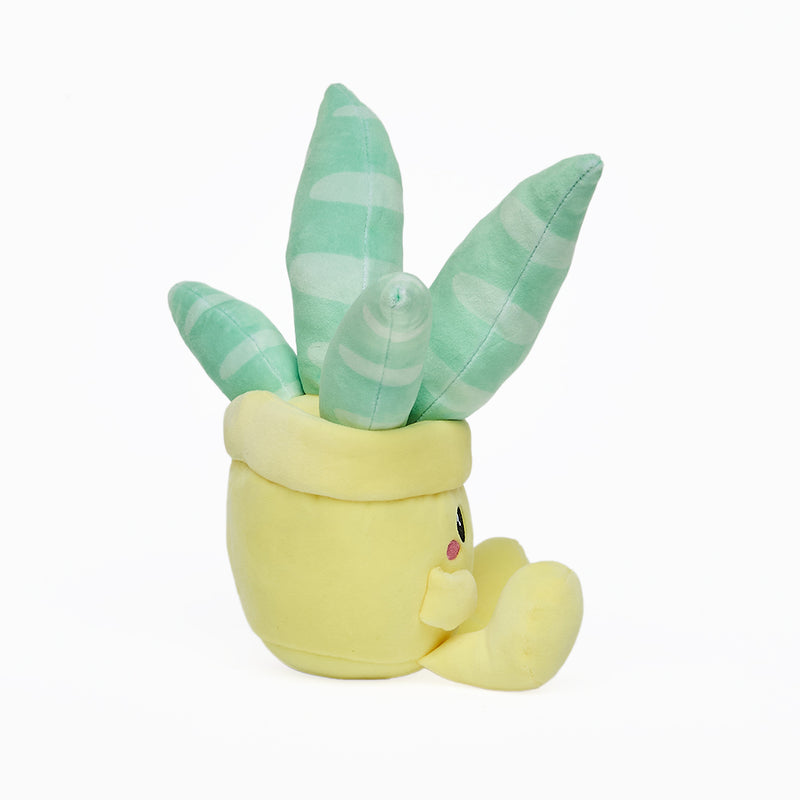 Peluche super morbido a forma di piantina grassa Kawaii. La serie è composta da: Pianta Aloe, Pianta Echevera, Cactus