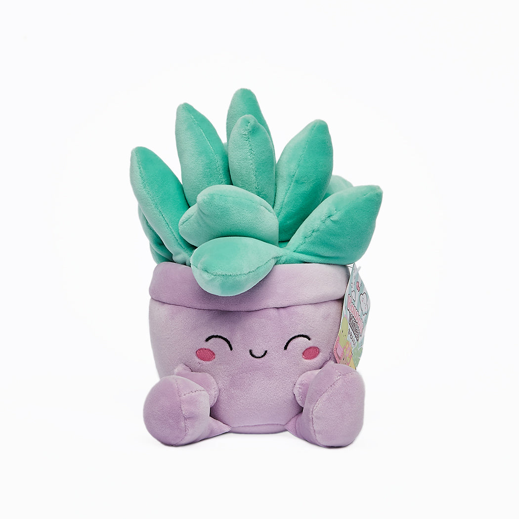 Peluche super morbido a forma di piantina grassa Kawaii. La serie è composta da: Pianta Aloe, Pianta Echevera, Cactus
