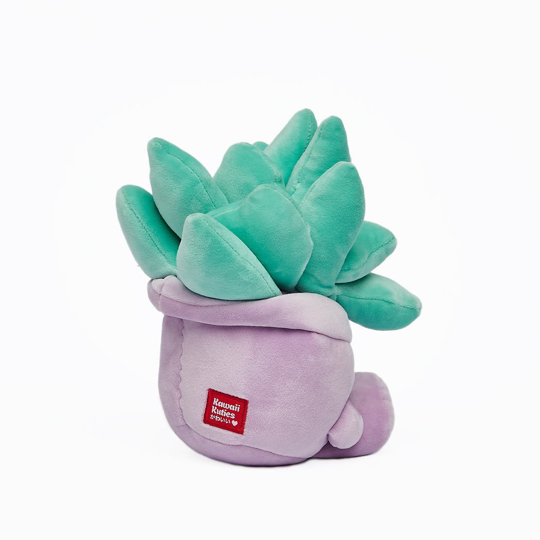 Peluche super morbido a forma di piantina grassa Kawaii. La serie è composta da: Pianta Aloe, Pianta Echevera, Cactus