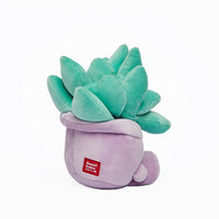 Peluche super morbido a forma di piantina grassa Kawaii. La serie è composta da: Pianta Aloe, Pianta Echevera, Cactus