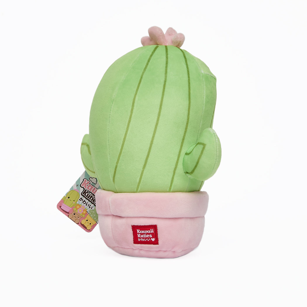 Peluche super morbido a forma di piantina grassa Kawaii. La serie è composta da: Pianta Aloe, Pianta Echevera, Cactus