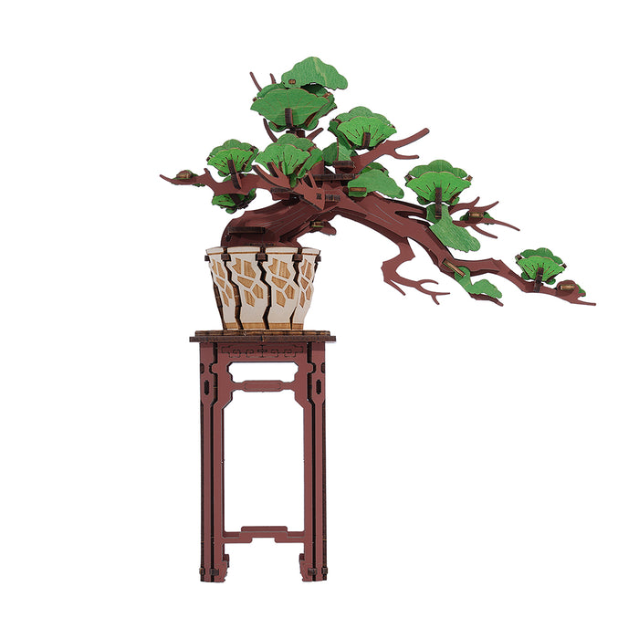 Puzzle in 3d Evergreen Pine Bonsai.