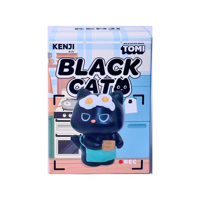 Blind Box della serie Black Cat