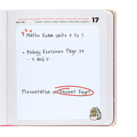 Agenda scolastica 11 mesi 26/27 di Pusheen.